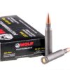 500 Rounds of .223 Ammo by Wolf - 55gr FMJ