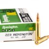 20 Rounds of .223 Ammo by Remington - 50gr JHP